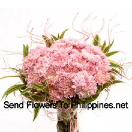 Bunch Of 24 Pink Carnations With Seasonal Fillers