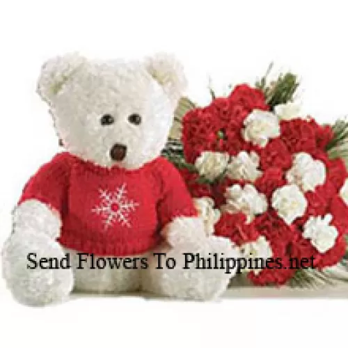 Bunch Of 24 Red And White Carnations With A Medium Sized Cute Teddy Bear