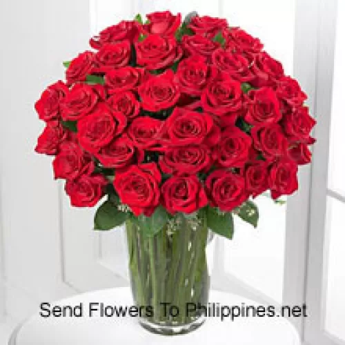 50 Red Roses In A Vase
